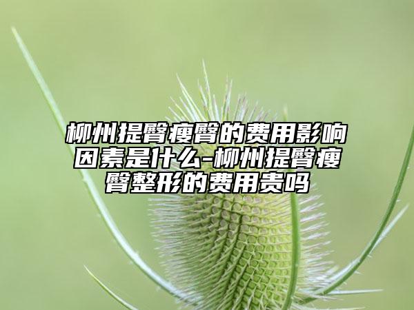 柳州提臀瘦臀的費(fèi)用影響因素是什么-柳州提臀瘦臀整形的費(fèi)用貴嗎