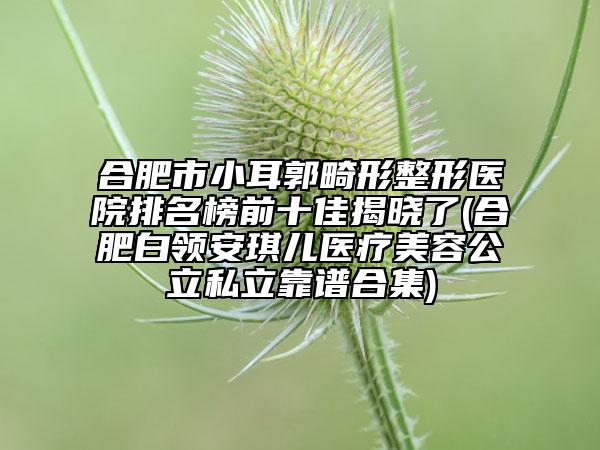 合肥市小耳郭畸形整形醫(yī)院排名榜前十佳揭曉了(合肥白領(lǐng)安琪兒醫(yī)療美容公立私立靠譜合集)