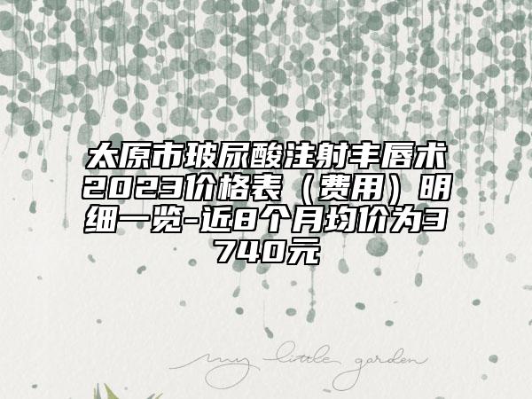 太原市玻尿酸注射豐唇術2023價格表（費用）明細一覽-近8個月均價為3740元