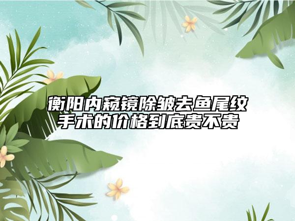 衡陽內(nèi)窺鏡除皺去魚尾紋手術(shù)的價格到底貴不貴