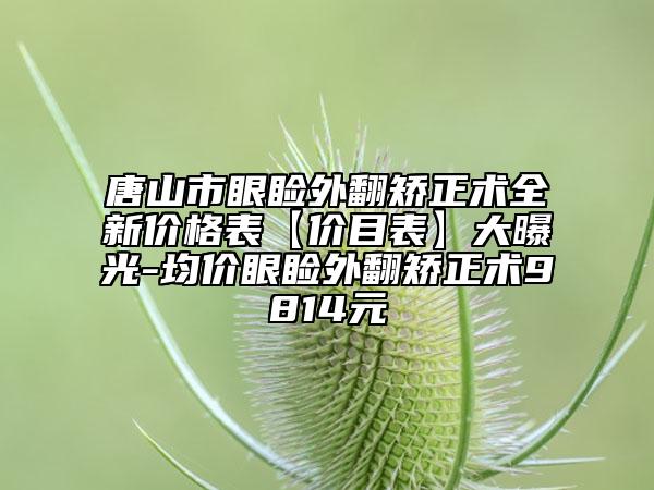 唐山市眼瞼外翻矯正術全新價格表【價目表】大曝光-均價眼瞼外翻矯正術9814元