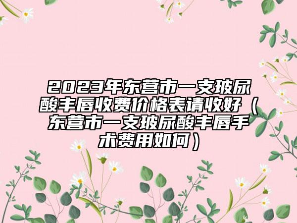 2023年東營市一支玻尿酸豐唇收費價格表請收好（東營市一支玻尿酸豐唇手術(shù)費用如何）