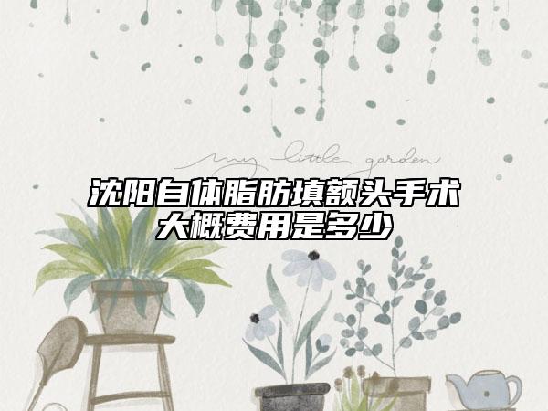 沈陽自體脂肪填額頭手術大概費用是多少