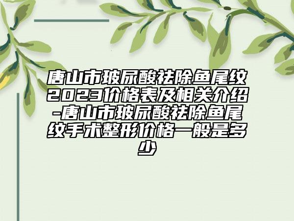 唐山市玻尿酸祛除魚尾紋2023價格表及相關(guān)介紹-唐山市玻尿酸祛除魚尾紋手術(shù)整形價格一般是多少