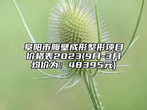 阜陽市腹壁成形整形項目價格表2023(9月-3月均價為：48395元)