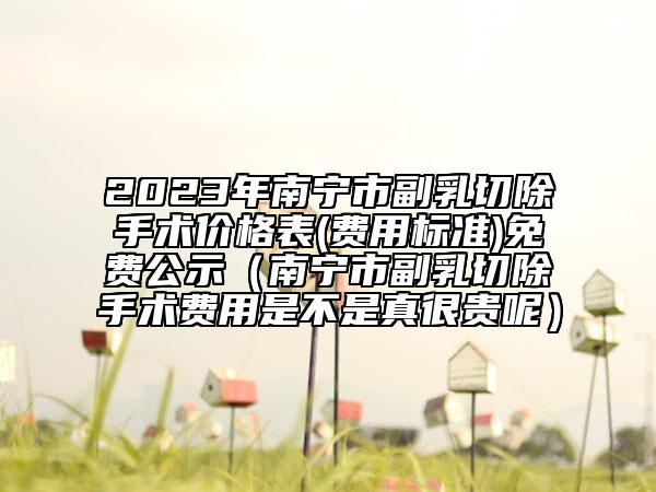 2023年南寧市副乳切除手術(shù)價格表(費用標準)免費公示（南寧市副乳切除手術(shù)費用是不是真很貴呢）
