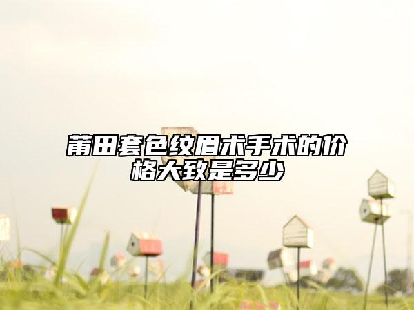 莆田套色紋眉術(shù)手術(shù)的價格大致是多少