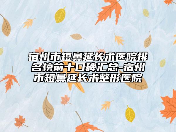宿州市短鼻延長術醫(yī)院排名榜前十口碑匯總-宿州市短鼻延長術整形醫(yī)院