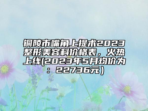 銅陵市嘴角上提術2023整形美容科價格表，火熱上線(2023年5月均價為：22736元）