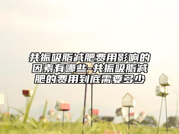 共振吸脂減肥費用影響的因素有哪些-共振吸脂減肥的費用到底需要多少