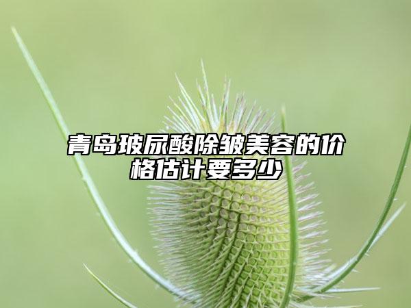 青島玻尿酸除皺美容的價(jià)格估計(jì)要多少