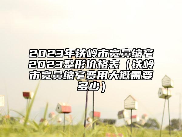 2023年鐵嶺市寬鼻縮窄2023整形價(jià)格表（鐵嶺市寬鼻縮窄費(fèi)用大概需要多少）
