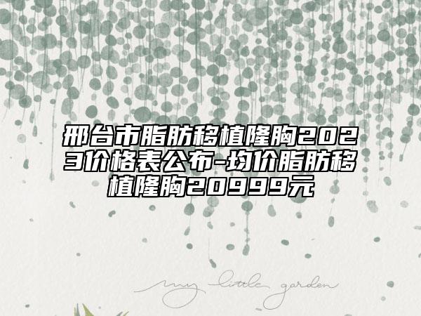 邢臺(tái)市脂肪移植隆胸2023價(jià)格表公布-均價(jià)脂肪移植隆胸20999元