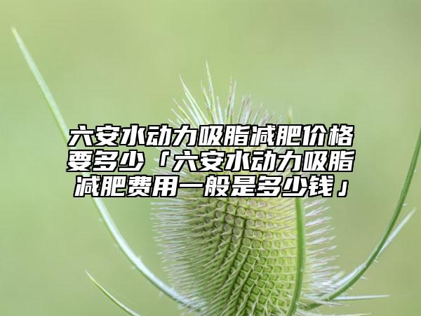 六安水動力吸脂減肥價格要多少「六安水動力吸脂減肥費用一般是多少錢」