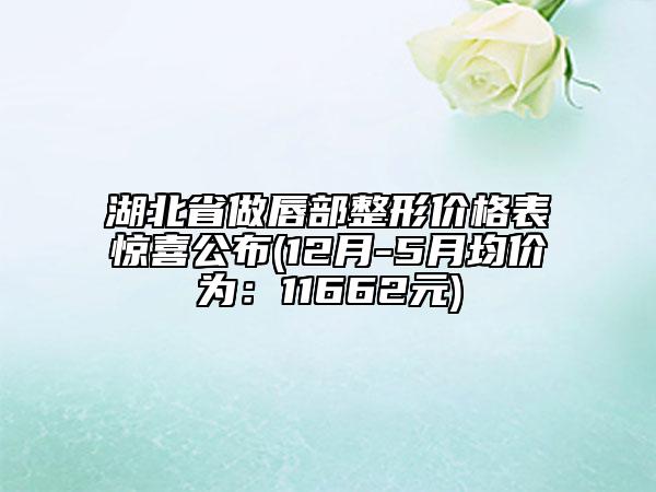 湖北省做唇部整形價格表驚喜公布(12月-5月均價為：11662元)