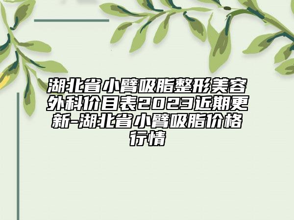 湖北省小臂吸脂整形美容外科價目表2023近期更新-湖北省小臂吸脂價格行情