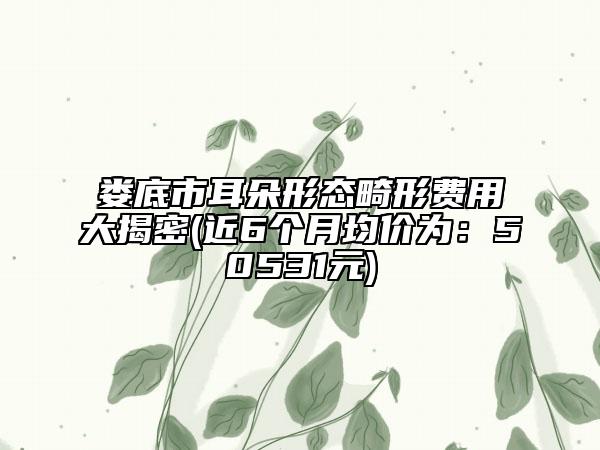 婁底市耳朵形態(tài)畸形費(fèi)用大揭密(近6個(gè)月均價(jià)為：50531元)