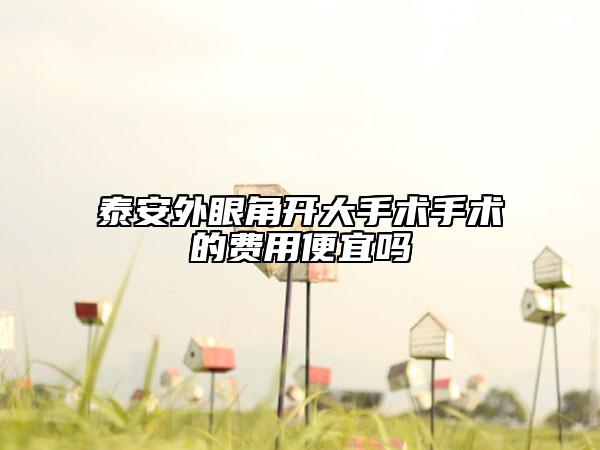 泰安外眼角開大手術(shù)手術(shù)的費(fèi)用便宜嗎