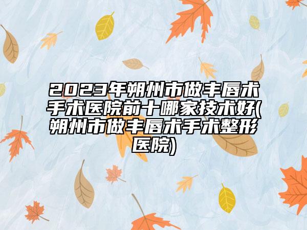 2023年朔州市做豐唇術(shù)手術(shù)醫(yī)院前十哪家技術(shù)好(朔州市做豐唇術(shù)手術(shù)整形醫(yī)院)