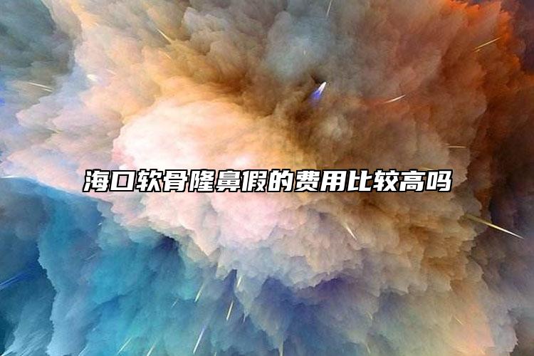 海口軟骨隆鼻假的費(fèi)用比較高嗎