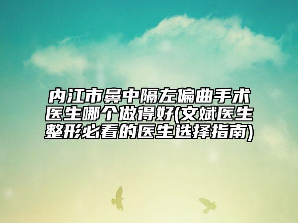 內江市鼻中隔左偏曲手術醫(yī)生哪個做得好(文斌醫(yī)生整形必看的醫(yī)生選擇指南)
