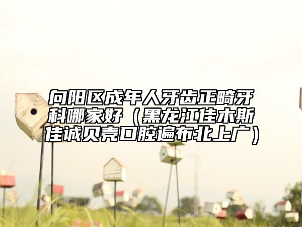 向陽區(qū)成年人牙齒正畸牙科哪家好(黑龍江佳木斯佳誠貝殼口腔遍布北上廣)