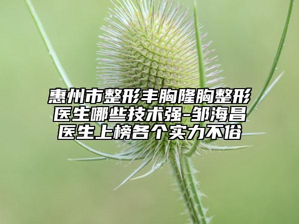 惠州市整形豐胸隆胸整形醫(yī)生哪些技術強-鄒海昌醫(yī)生上榜各個實力不俗
