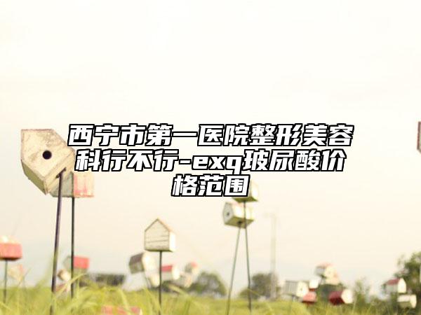 西寧市第一醫(yī)院整形美容科行不行-exq玻尿酸價格范圍