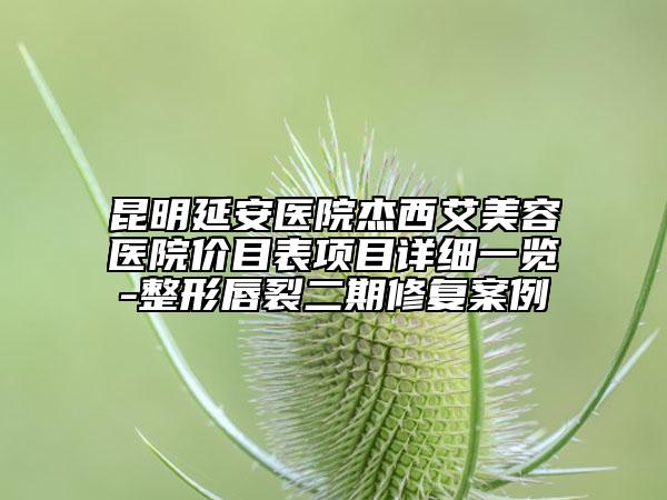 昆明延安醫(yī)院杰西艾美容醫(yī)院價(jià)目表項(xiàng)目詳細(xì)一覽-整形唇裂二期修復(fù)案例