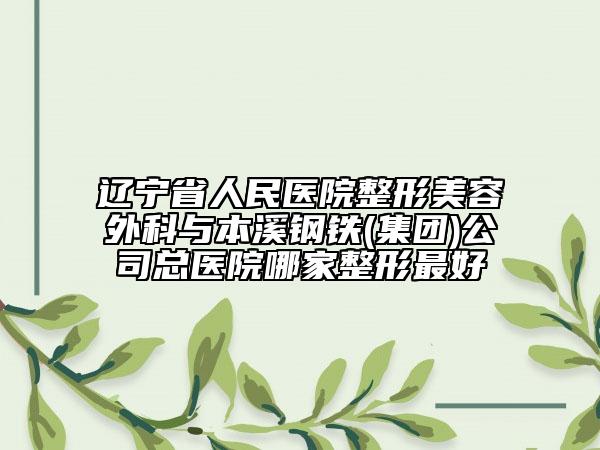 遼寧省人民醫(yī)院整形美容外科與本溪鋼鐵(集團(tuán))公司總醫(yī)院哪家整形最好