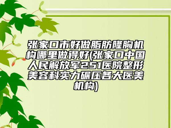張家口市好做脂肪隆胸機構(gòu)哪里做得好(張家口中國人民解放軍251醫(yī)院整形美容科實力碾壓各大醫(yī)美機構(gòu))
