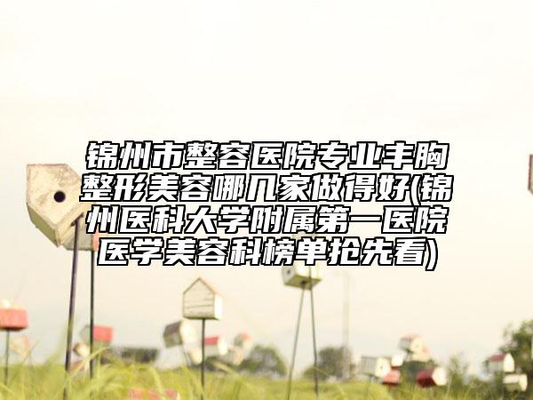 錦州市整容醫(yī)院專業(yè)豐胸整形美容哪幾家做得好(錦州醫(yī)科大學(xué)附屬第一醫(yī)院醫(yī)學(xué)美容科榜單搶先看)