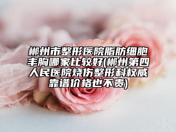 郴州市整形醫(yī)院脂肪細(xì)胞豐胸哪家比較好(郴州第四人民醫(yī)院燒傷整形科權(quán)威靠譜價格也不貴)