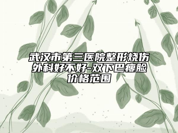 武漢市第三醫(yī)院整形燒傷外科好不好-雙下巴瘦臉價(jià)格范圍