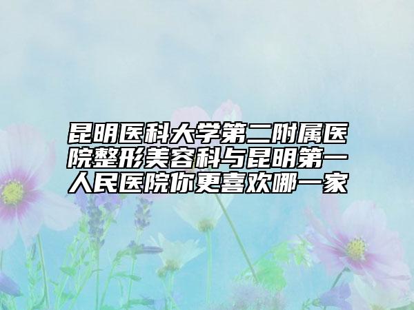 昆明醫(yī)科大學(xué)第二附屬醫(yī)院整形美容科與昆明第一人民醫(yī)院你更喜歡哪一家