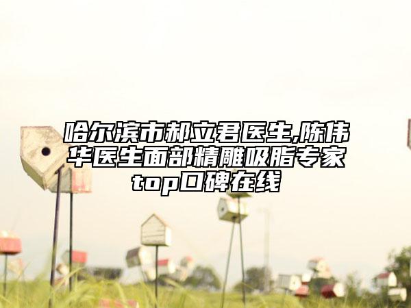 哈爾濱市郝立君醫(yī)生,陳偉華醫(yī)生面部精雕吸脂專家top口碑在線