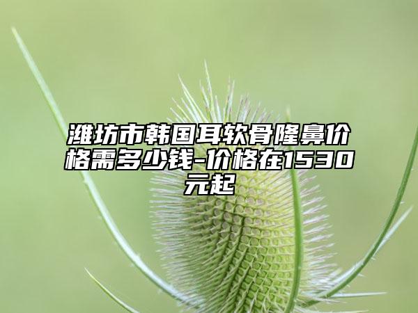 濰坊市韓國(guó)耳軟骨隆鼻價(jià)格需多少錢(qián)-價(jià)格在1530元起