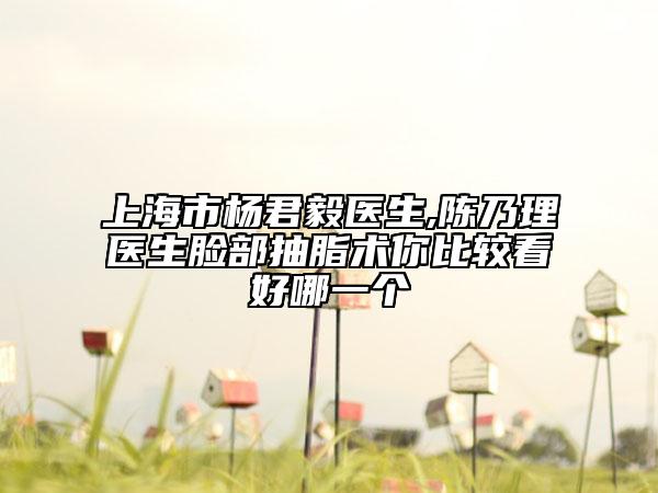 上海市楊君毅醫(yī)生,陳乃理醫(yī)生臉部抽脂術(shù)你比較看好哪一個(gè)