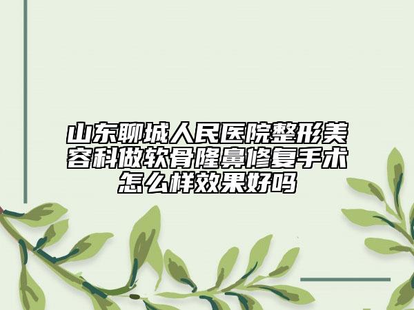 山東聊城人民醫(yī)院整形美容科做軟骨隆鼻修復(fù)手術(shù)怎么樣效果好嗎