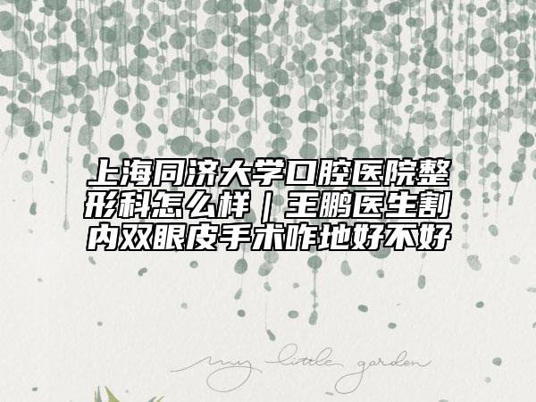上海同濟大學(xué)口腔醫(yī)院整形科怎么樣｜王鵬醫(yī)生割內(nèi)雙眼皮手術(shù)咋地好不好
