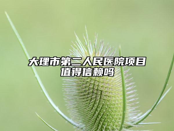 大理市第二人民醫(yī)院項目值得信賴嗎