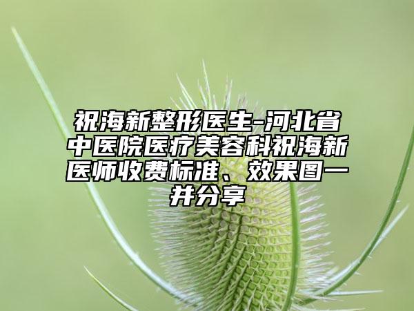 祝海新整形醫(yī)生-河北省中醫(yī)院醫(yī)療美容科祝海新醫(yī)師收費標準、效果圖一并分享