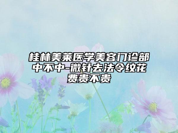 桂林美萊醫(yī)學(xué)美容門(mén)診部中不中-微針去法令紋花費(fèi)貴不貴