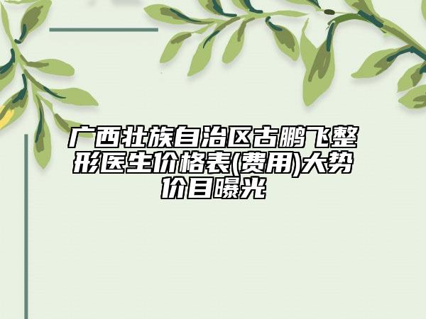 廣西壯族自治區(qū)古鵬飛整形醫(yī)生價(jià)格表(費(fèi)用)大勢(shì)價(jià)目曝光