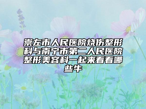 崇左市人民醫(yī)院燒傷整形科與南寧市第二人民醫(yī)院整形美容科一起來(lái)看看哪些牛