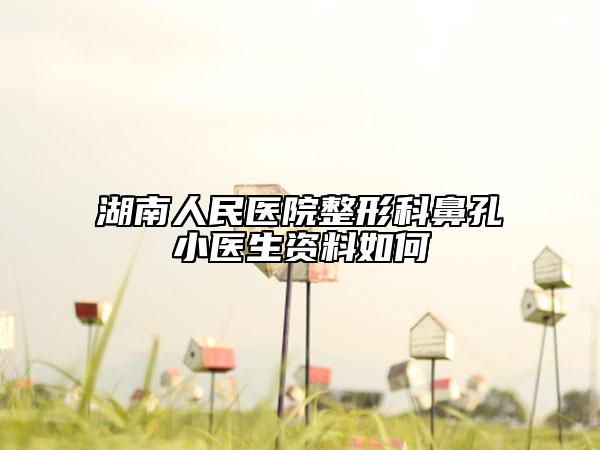 湖南人民醫(yī)院整形科鼻孔小醫(yī)生資料如何