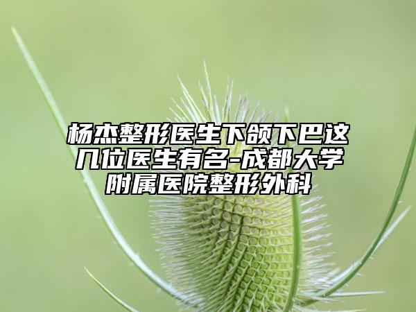 楊杰整形醫(yī)生下頜下巴這幾位醫(yī)生有名-成都大學(xué)附屬醫(yī)院整形外科