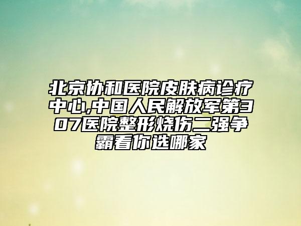 北京協(xié)和醫(yī)院皮膚病診療中心,中國人民解放軍第307醫(yī)院整形燒傷二強(qiáng)爭霸看你選哪家