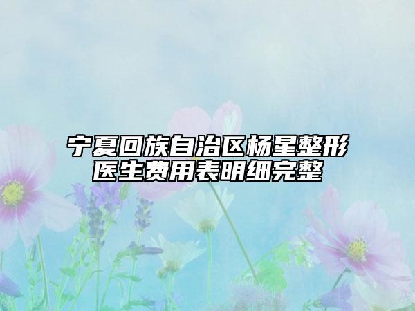 寧夏回族自治區(qū)楊星整形醫(yī)生費(fèi)用表明細(xì)完整
