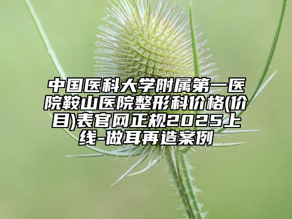 中國醫(yī)科大學(xué)附屬第一醫(yī)院鞍山醫(yī)院整形科價格(價目)表官網(wǎng)正規(guī)2025上線-做耳再造案例